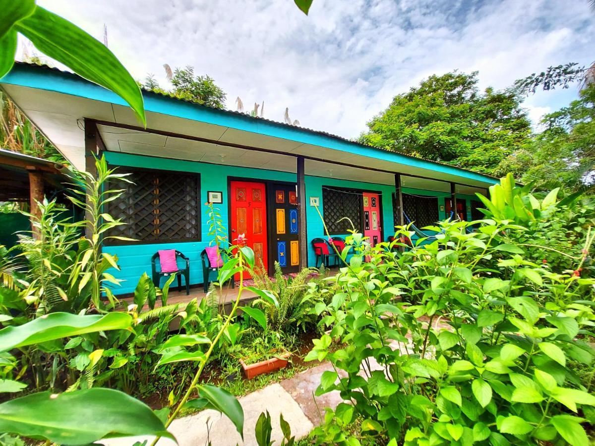 Cabinas Tortuguero Εξωτερικό φωτογραφία
