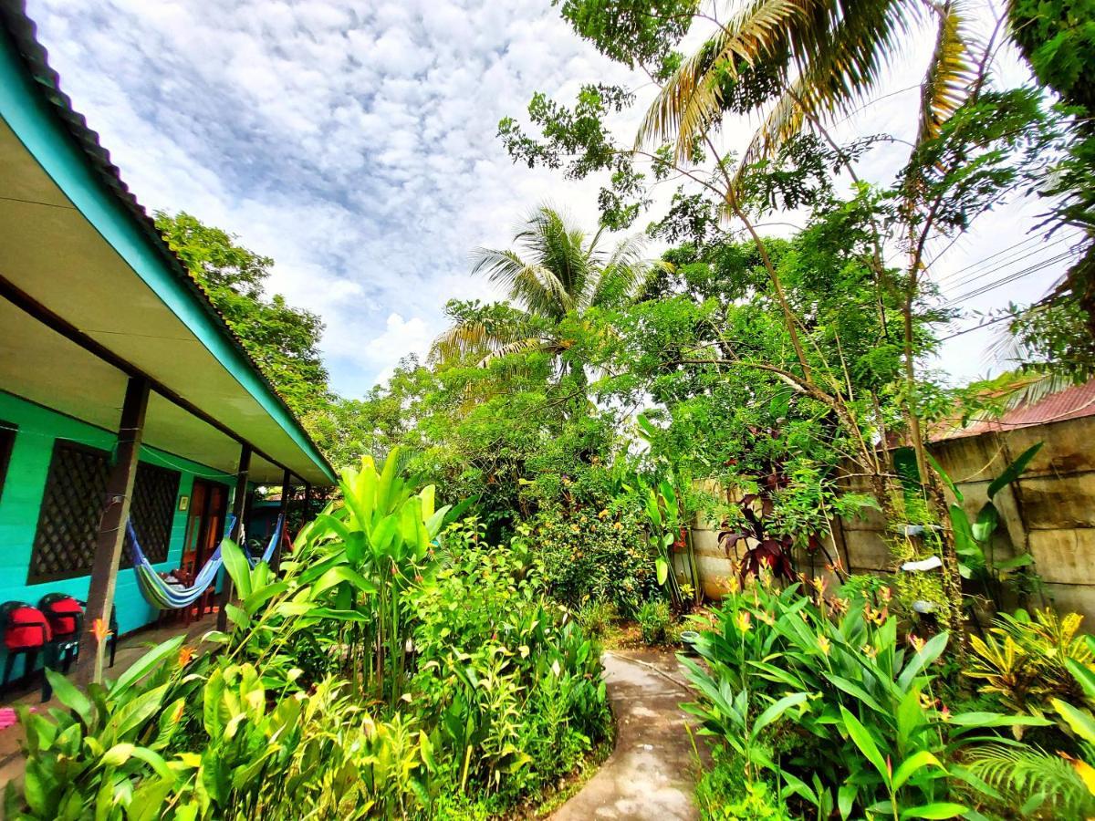 Cabinas Tortuguero Εξωτερικό φωτογραφία