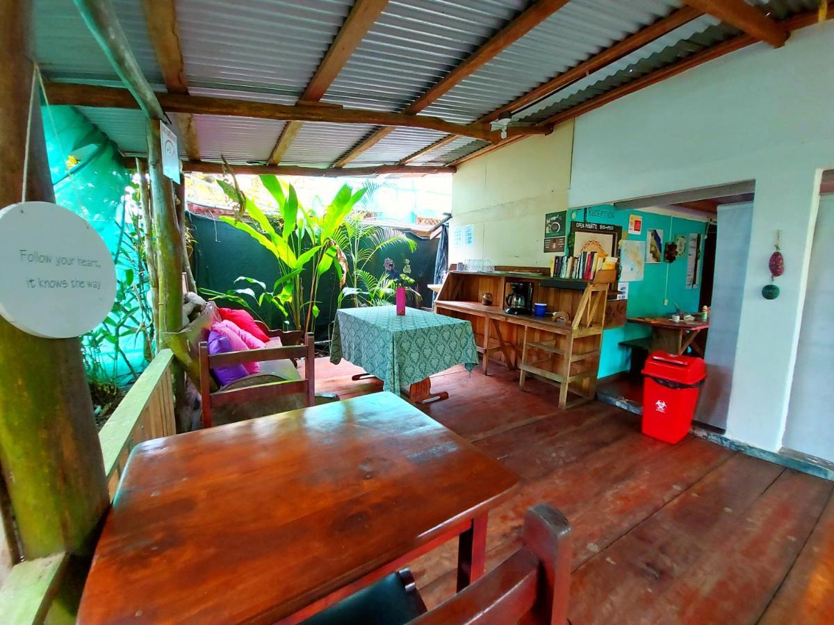 Cabinas Tortuguero Εξωτερικό φωτογραφία