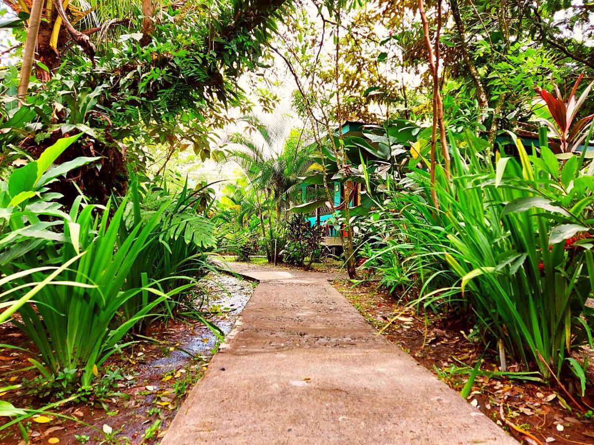 Cabinas Tortuguero Εξωτερικό φωτογραφία
