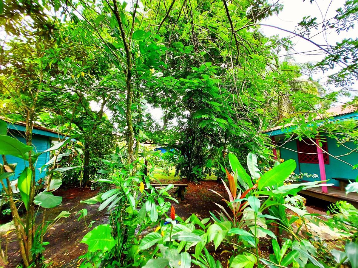 Cabinas Tortuguero Εξωτερικό φωτογραφία