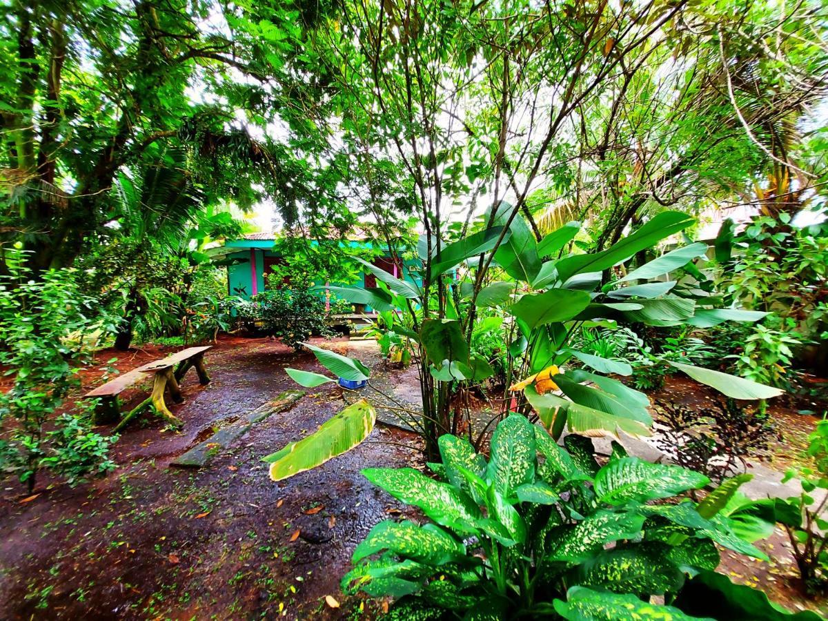 Cabinas Tortuguero Εξωτερικό φωτογραφία