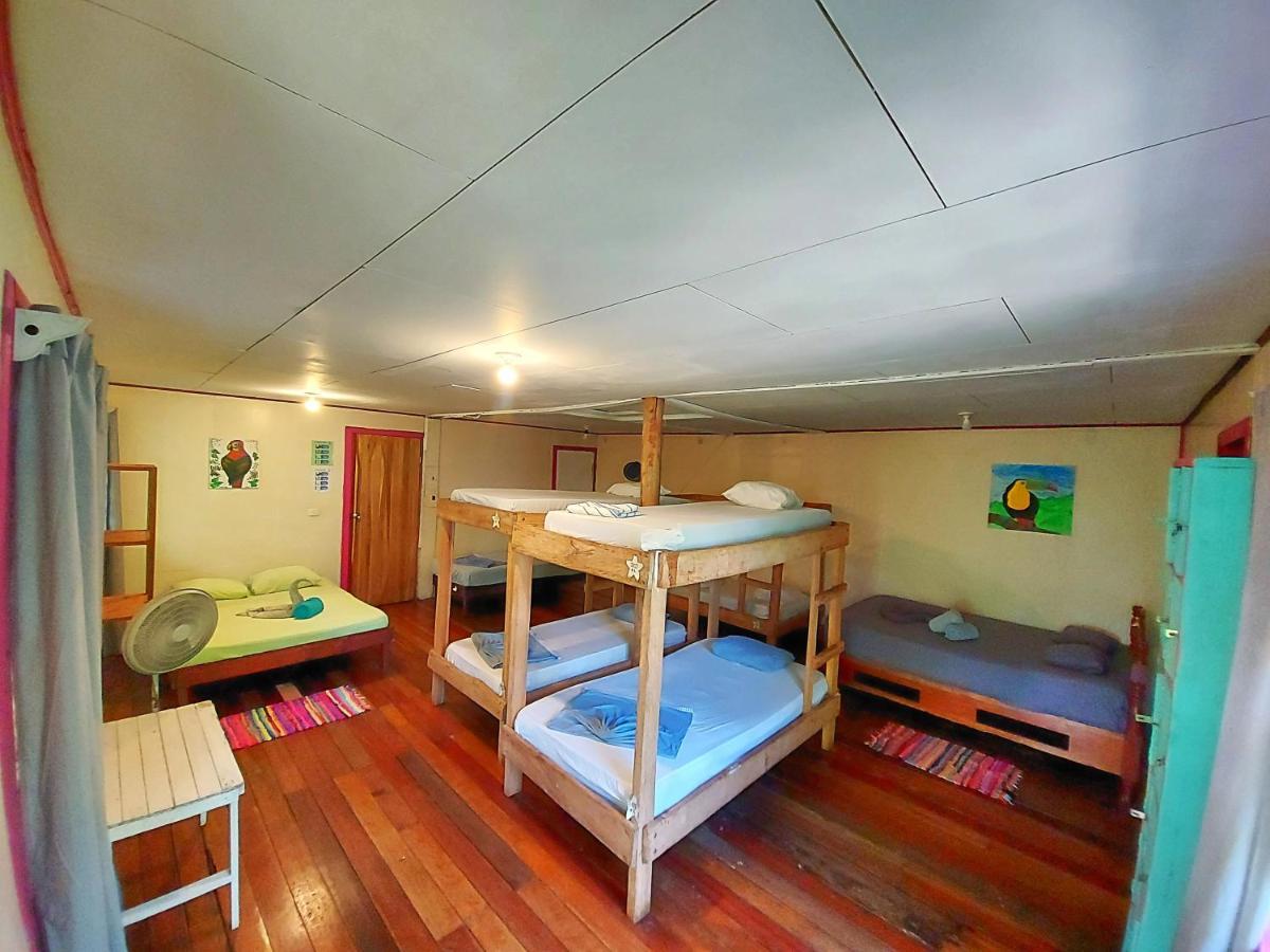 Cabinas Tortuguero Εξωτερικό φωτογραφία