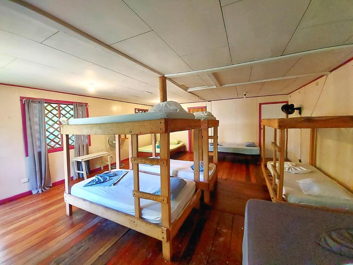Cabinas Tortuguero Εξωτερικό φωτογραφία