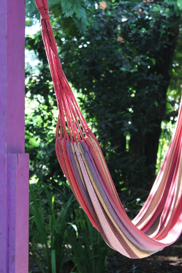 Cabinas Tortuguero Εξωτερικό φωτογραφία