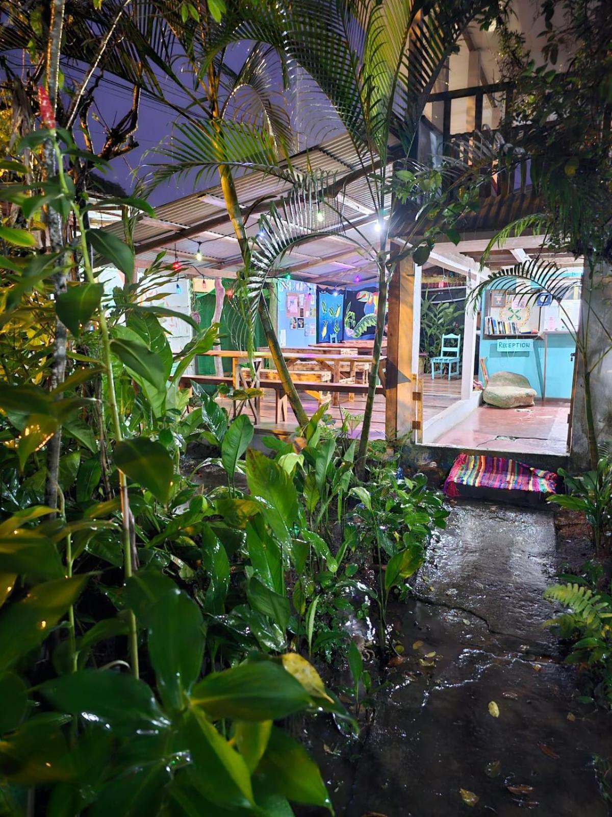 Cabinas Tortuguero Εξωτερικό φωτογραφία
