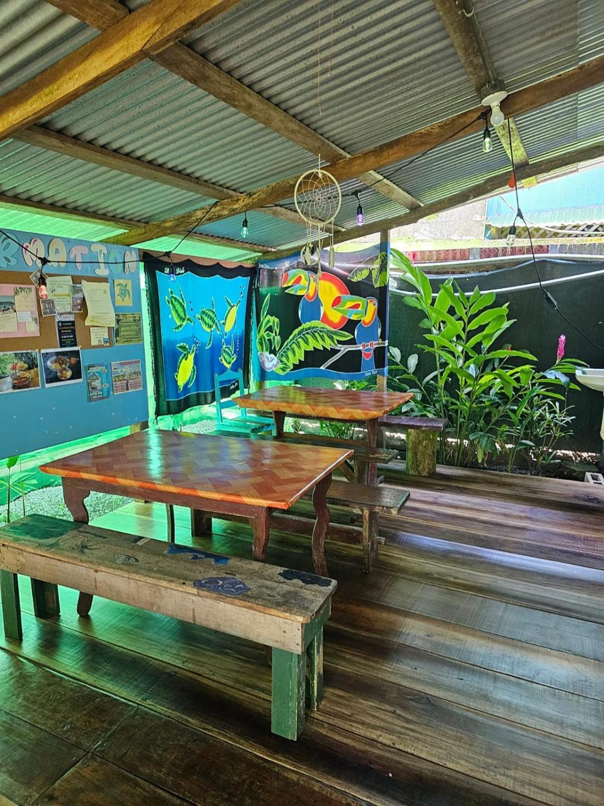 Cabinas Tortuguero Εξωτερικό φωτογραφία