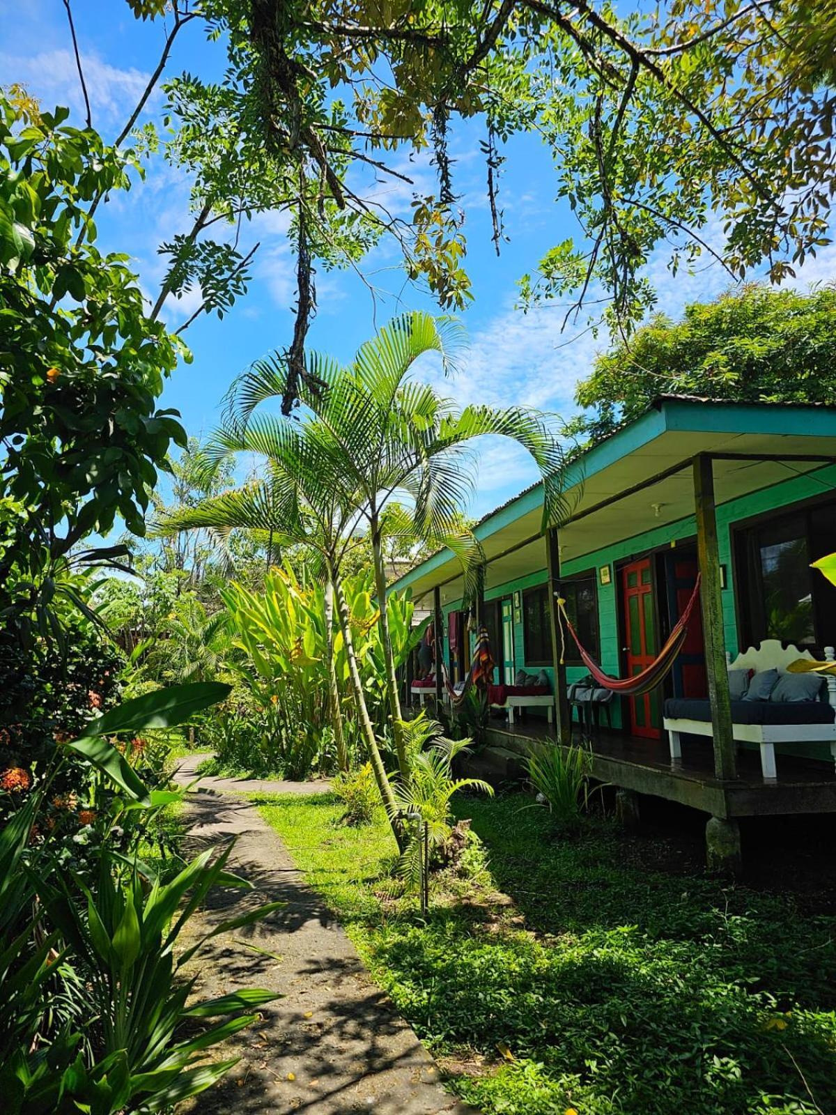 Cabinas Tortuguero Εξωτερικό φωτογραφία