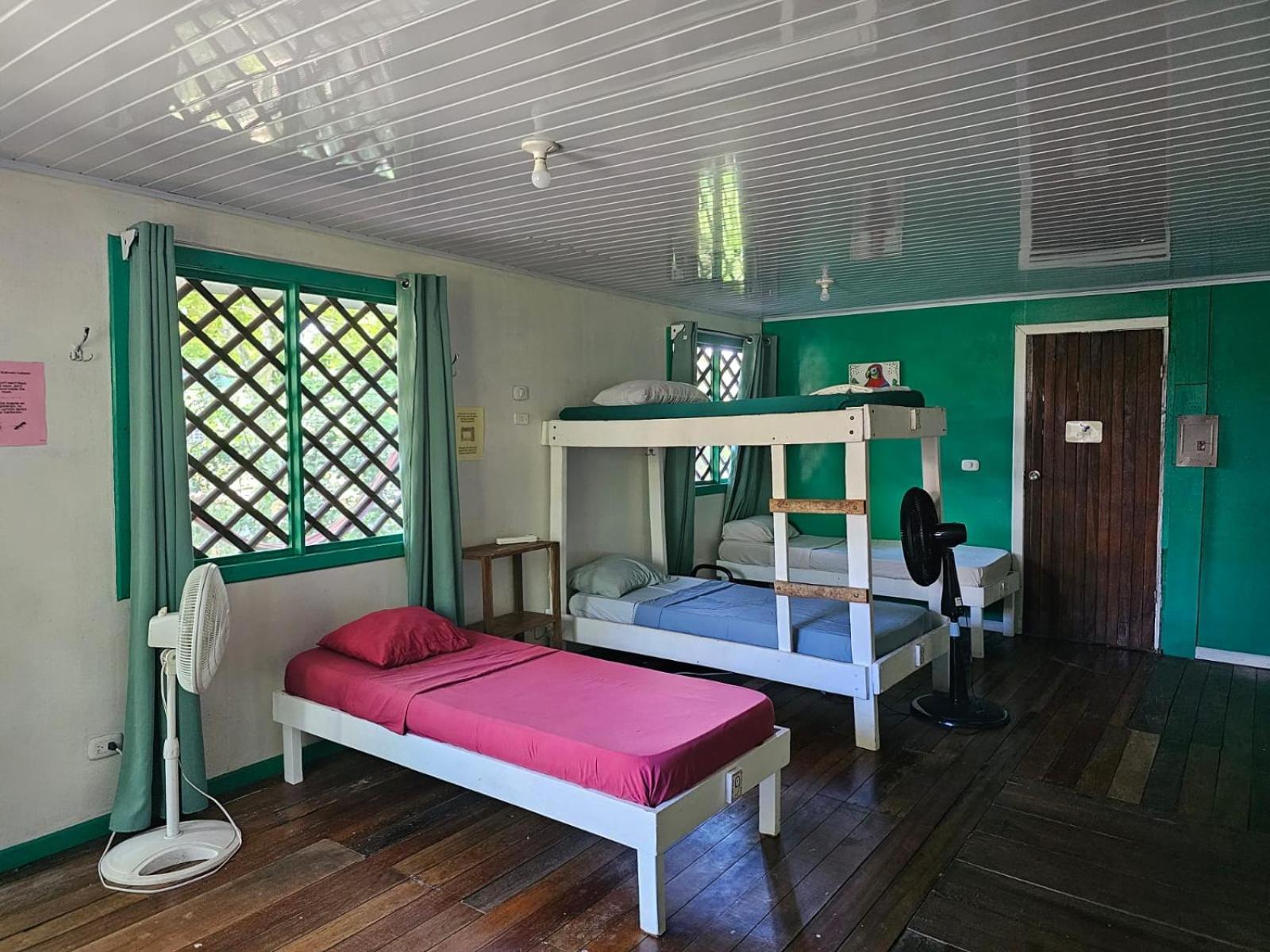 Cabinas Tortuguero Εξωτερικό φωτογραφία
