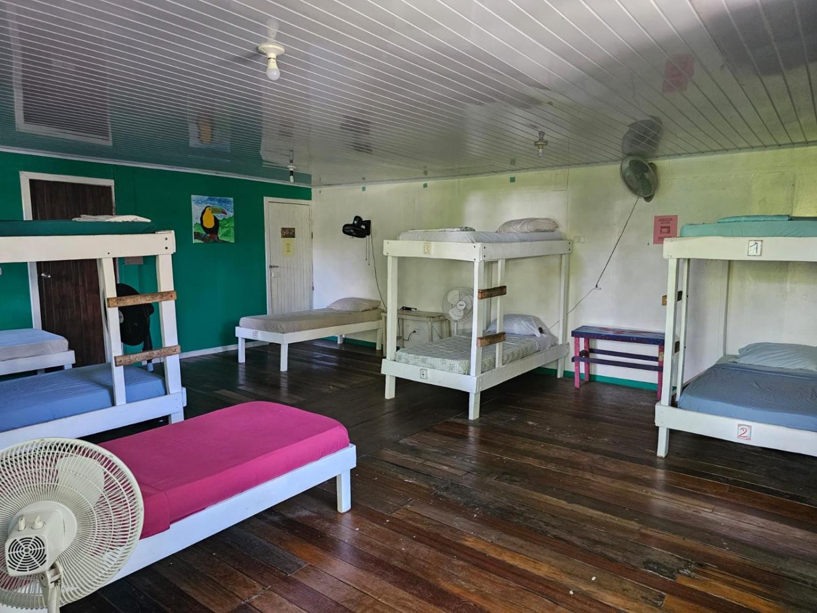 Cabinas Tortuguero Εξωτερικό φωτογραφία