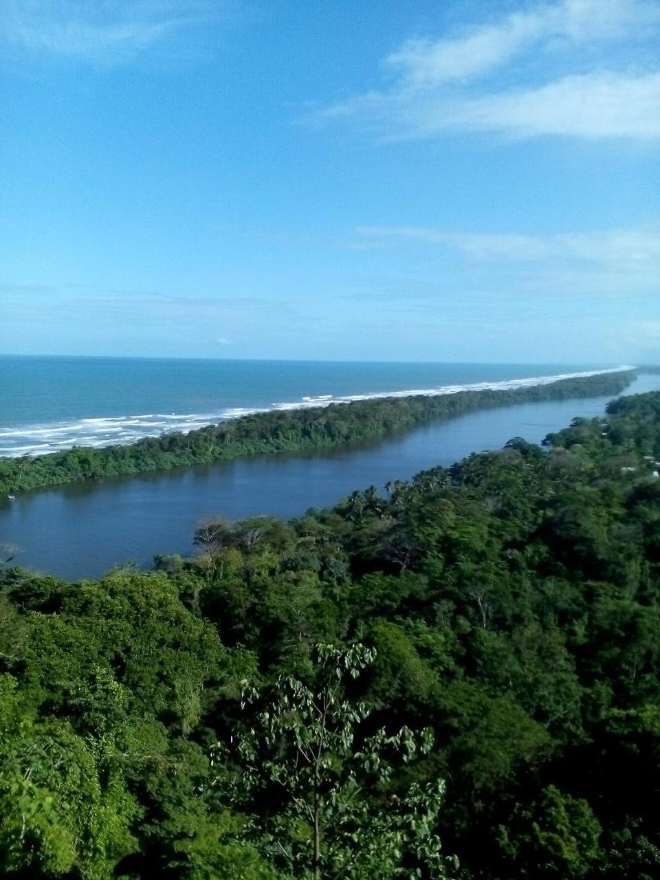 Cabinas Tortuguero Εξωτερικό φωτογραφία